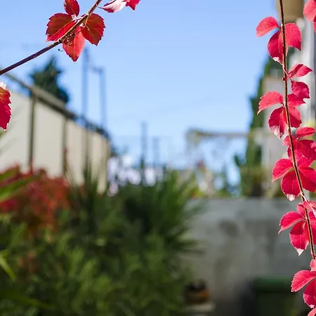 Appartement Martinis