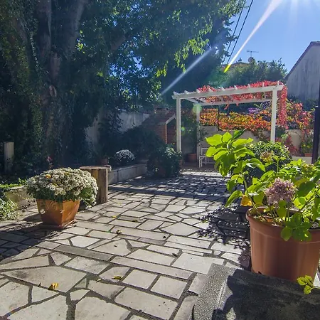 Martinis Appartement Split