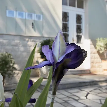 Appartement Martinis