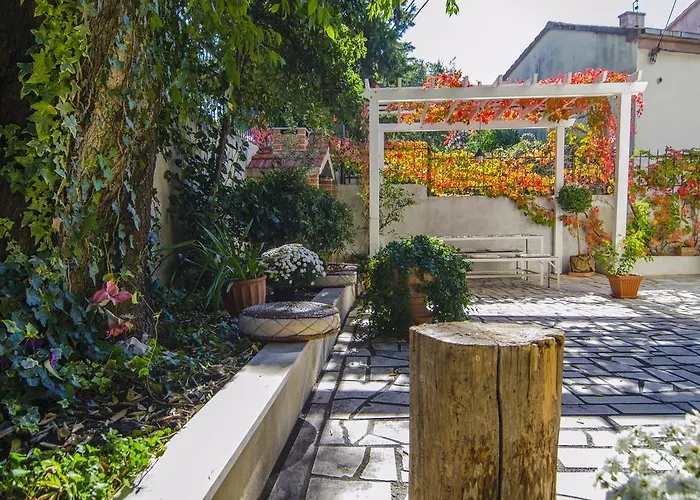 شقة Martinis سبليت