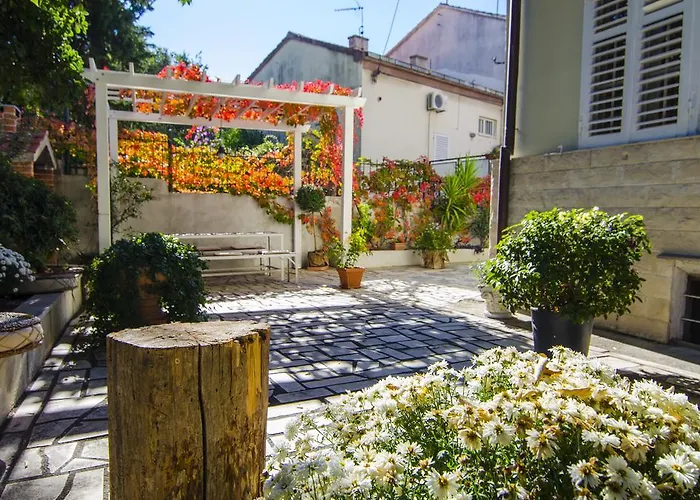 Martinis * سبليت