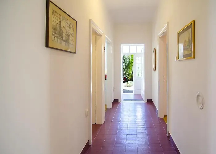 Martinis * ספליט